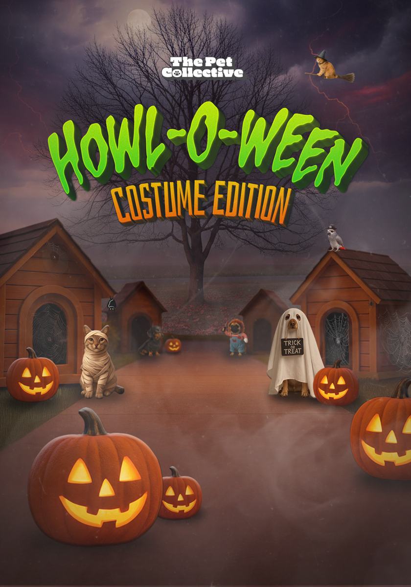 Key art